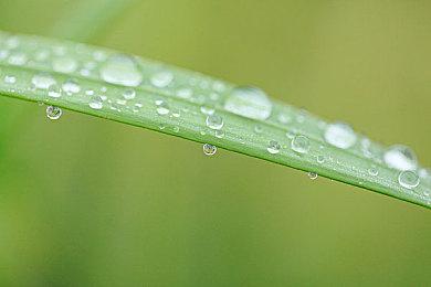 《怪物猎人物语2》已正式发售 破单人JRPG在线人数纪录